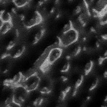 Truck Crush (16X) - Embossed Texture